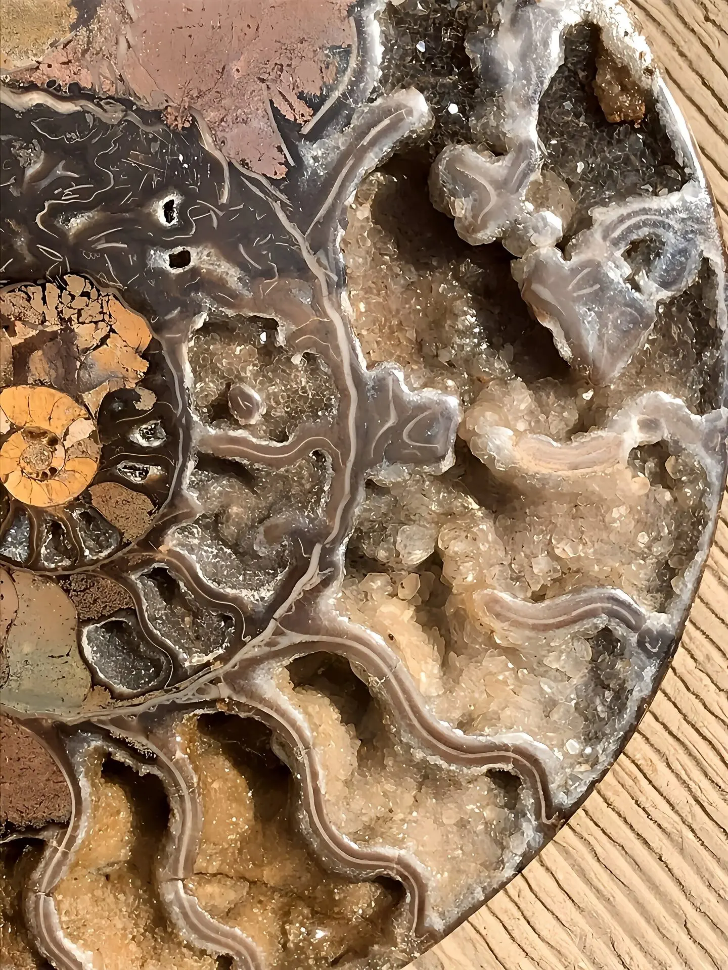 マダガスカル産 アンモナイト化石結晶化（クリオニセラス） スライス