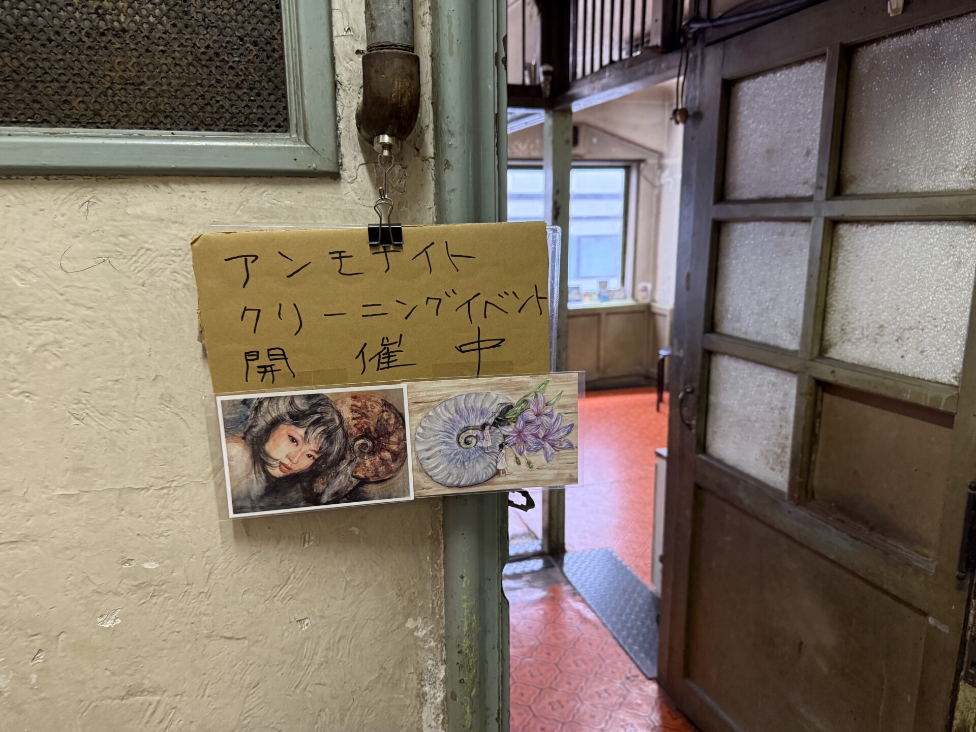 アンモナイト販売人の独り言⑤