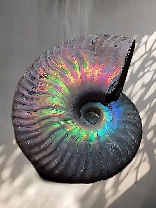 虹色南瓜石（にじいろかぼちゃいし） | マダガスカルから直送