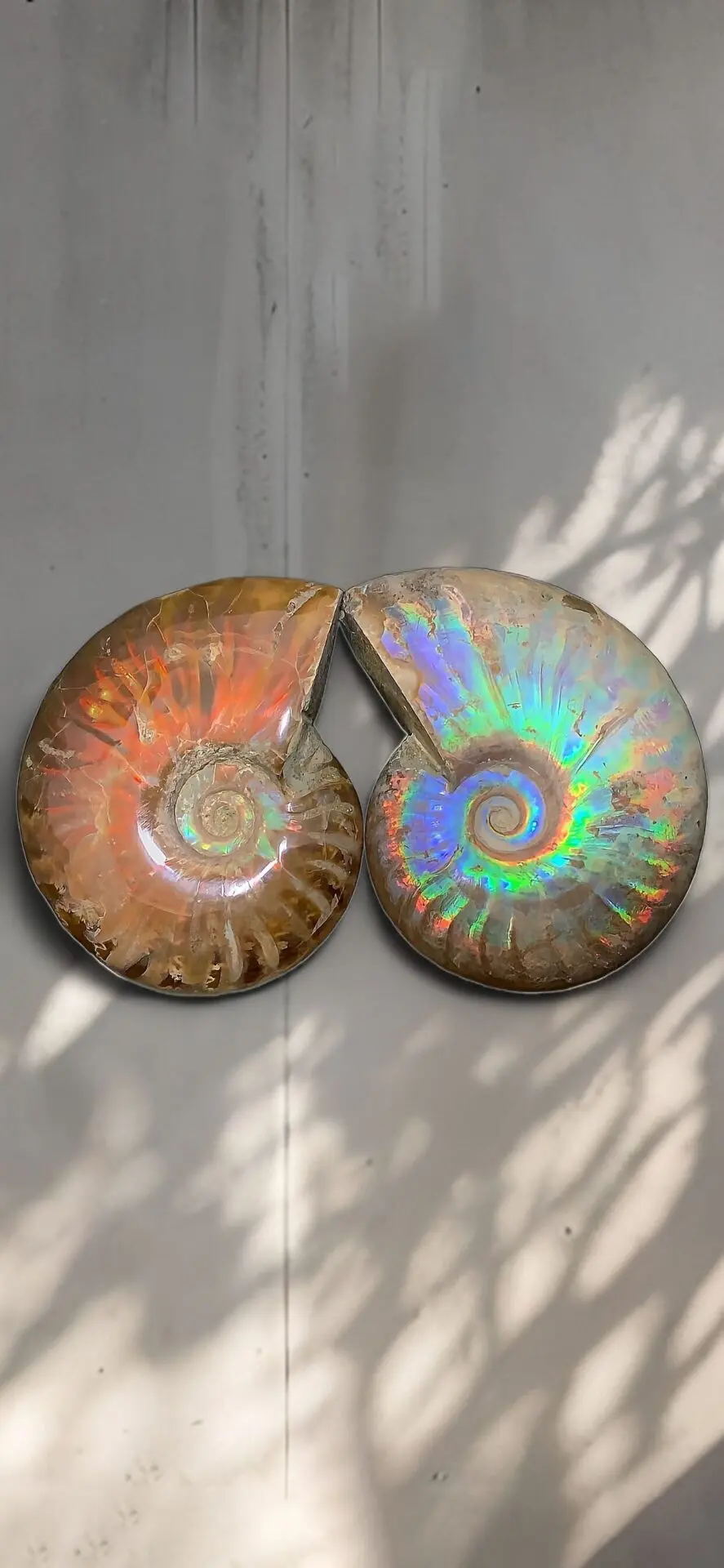 虹色南瓜石（にじいろかぼちゃいし） | マダガスカルから直送