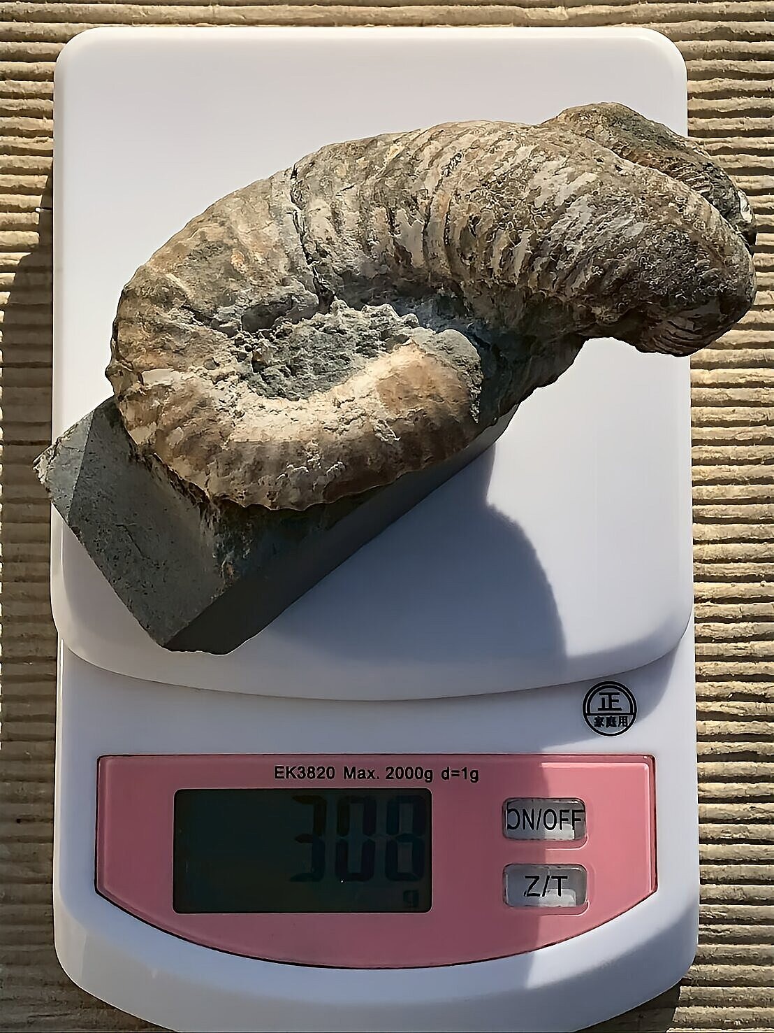 マダガスカル産 アンモナイト化石(ノストセラス)母岩つき 稀少 ピンク遊色あり 縫合線浮き出る個体 - 画像 (9)