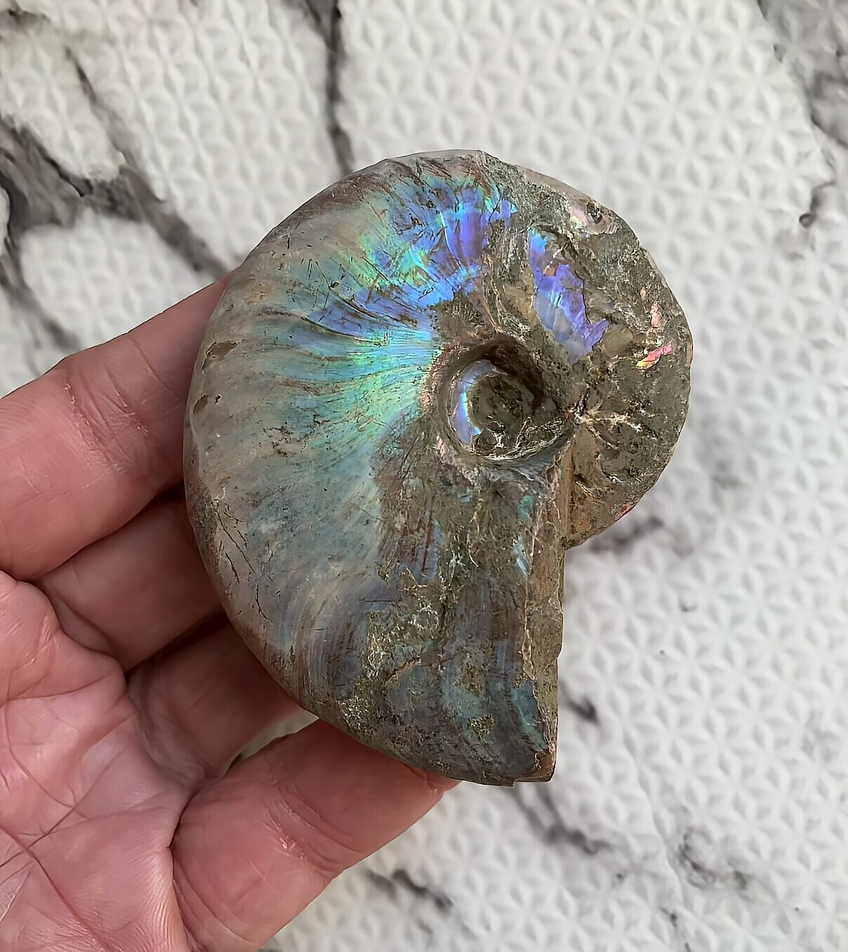 マダガスカル産 遊色虹色アンモナイト-青(クレオニセラス)青緑 - 画像 (2)