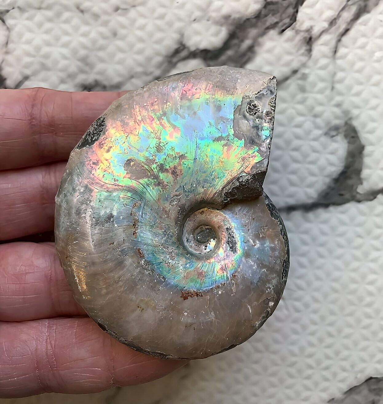 マダガスカル産 遊色虹色アンモナイト青(ビューダンティラス)青紫緑ピンク発色 - 画像 (3)