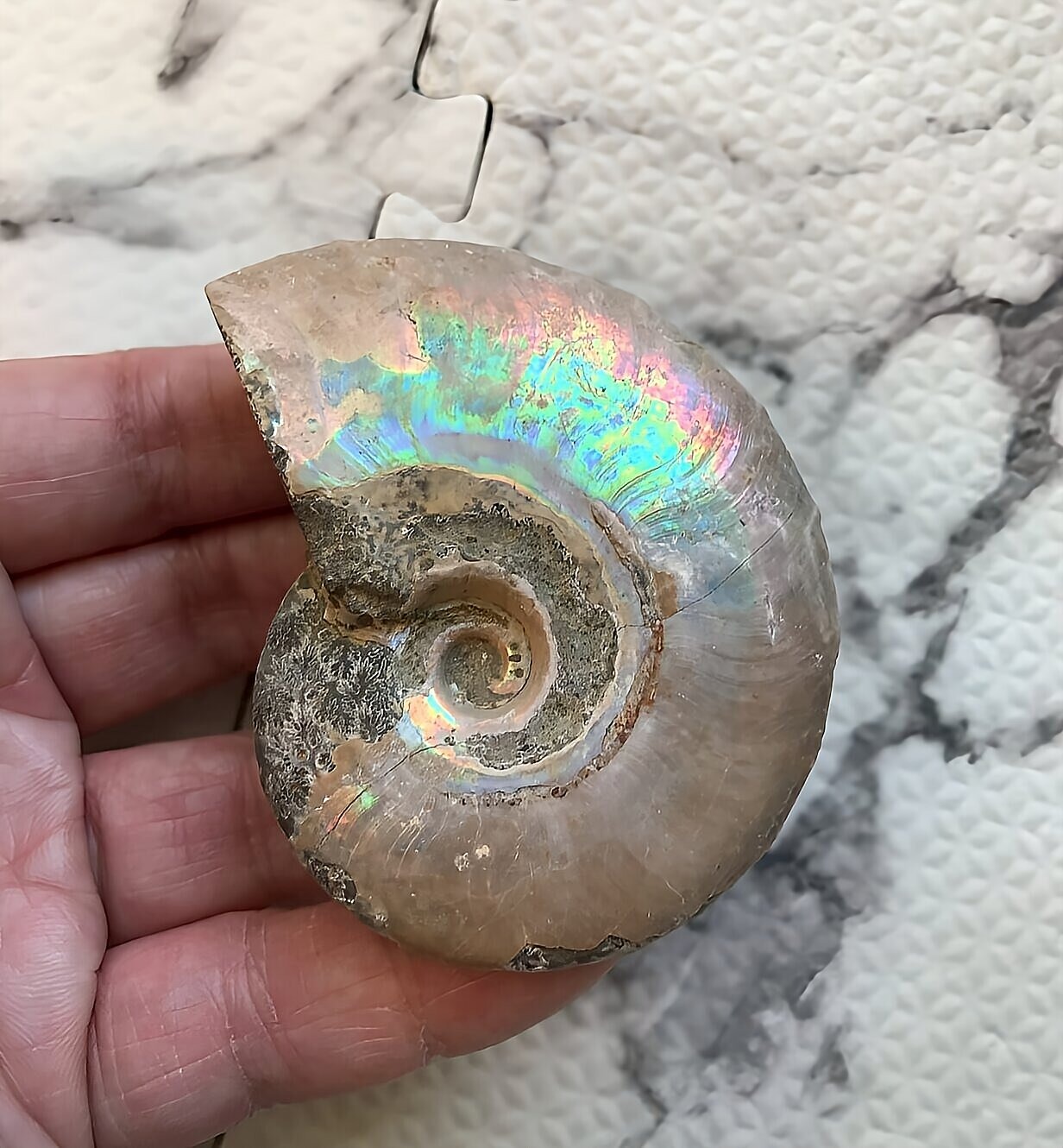 マダガスカル産 遊色虹色アンモナイト青(ビューダンティラス)青紫緑ピンク発色 - 画像 (4)