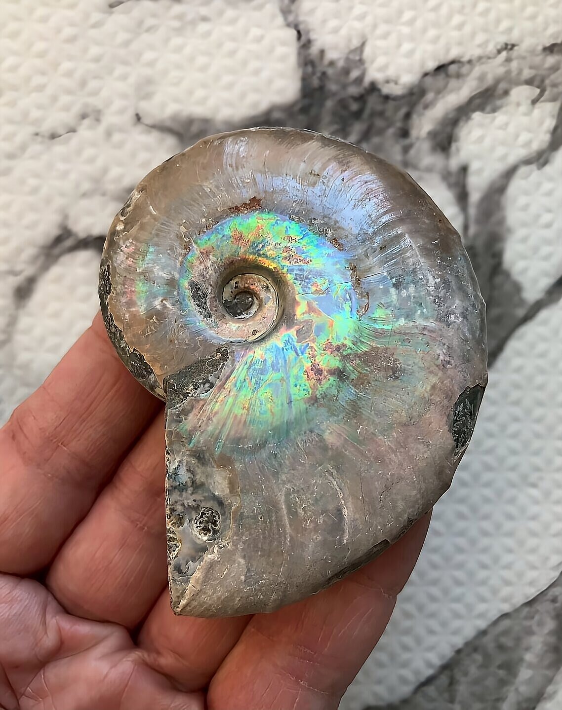 マダガスカル産 遊色虹色アンモナイト青(ビューダンティラス)青紫緑ピンク発色 - 画像 (5)