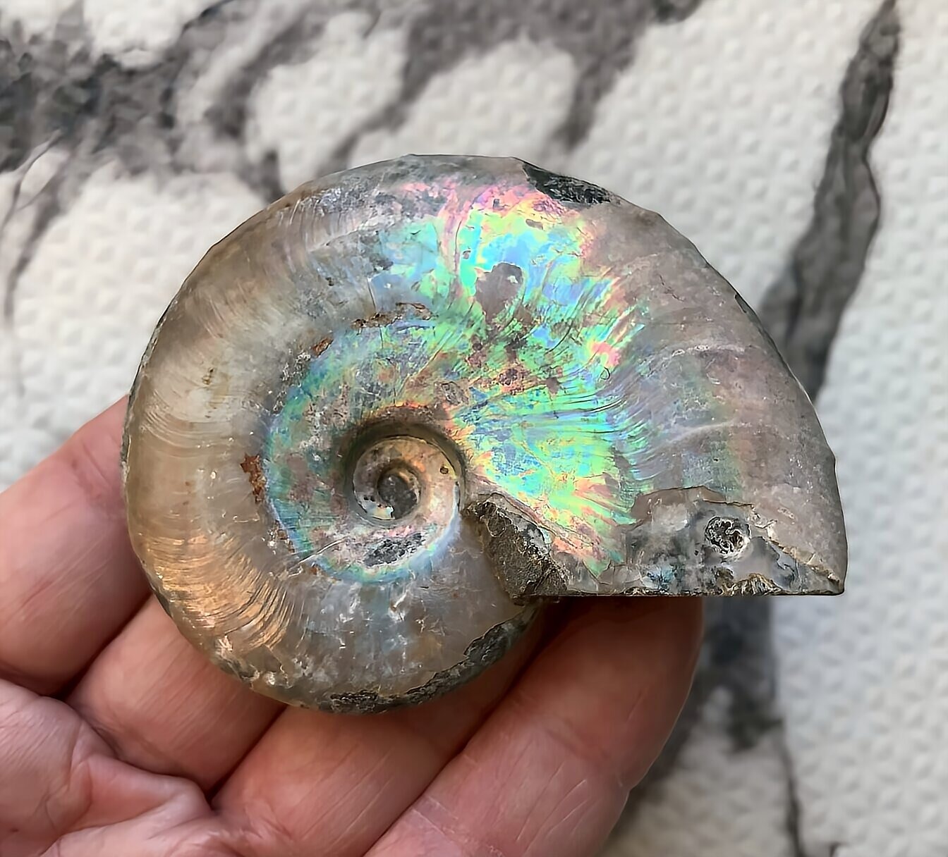 マダガスカル産 遊色虹色アンモナイト青（ビューダンティラス）青紫緑ピンク発色