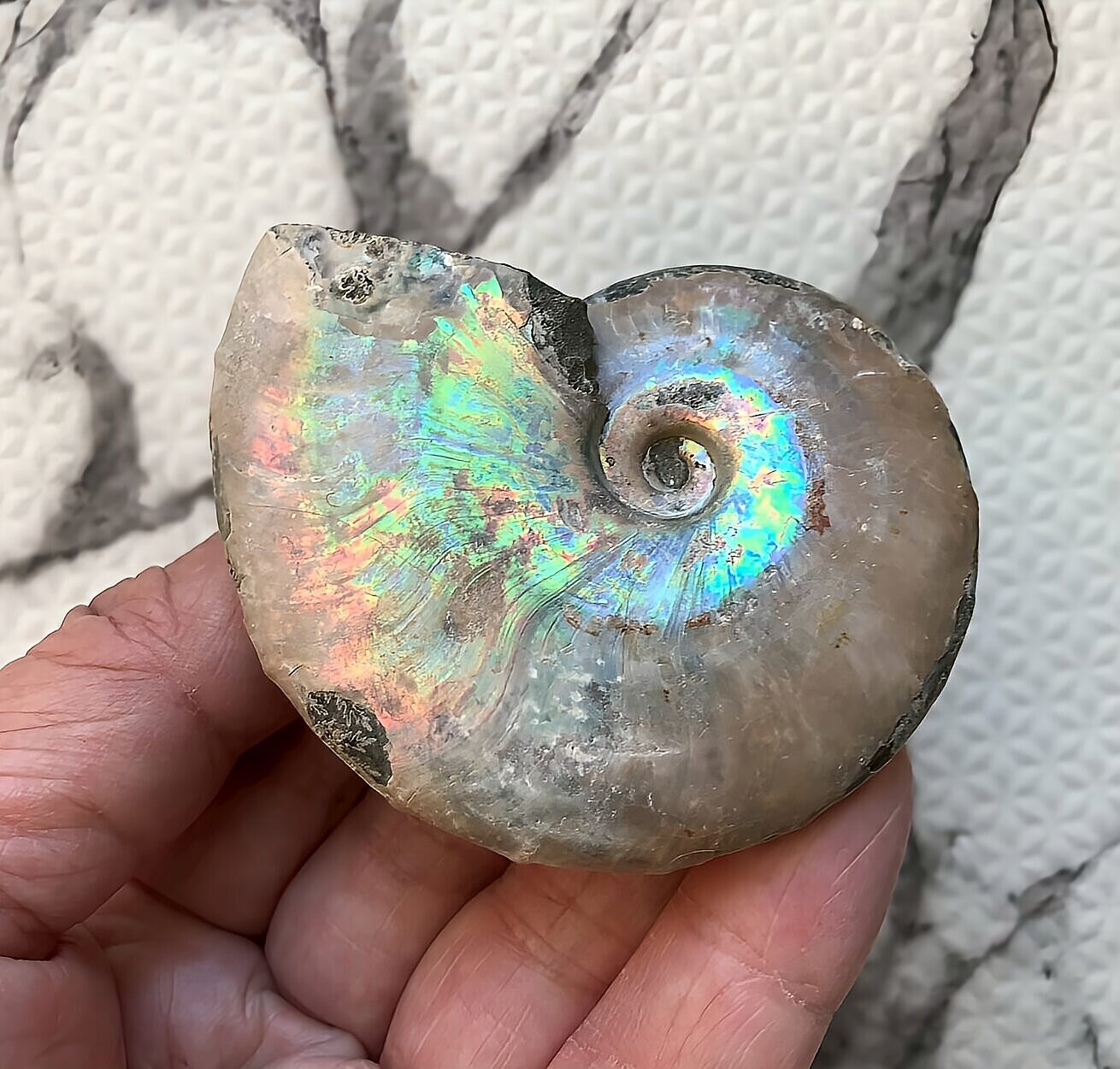 マダガスカル産 遊色虹色アンモナイト青(ビューダンティラス)青紫緑ピンク発色 - 画像 (9)