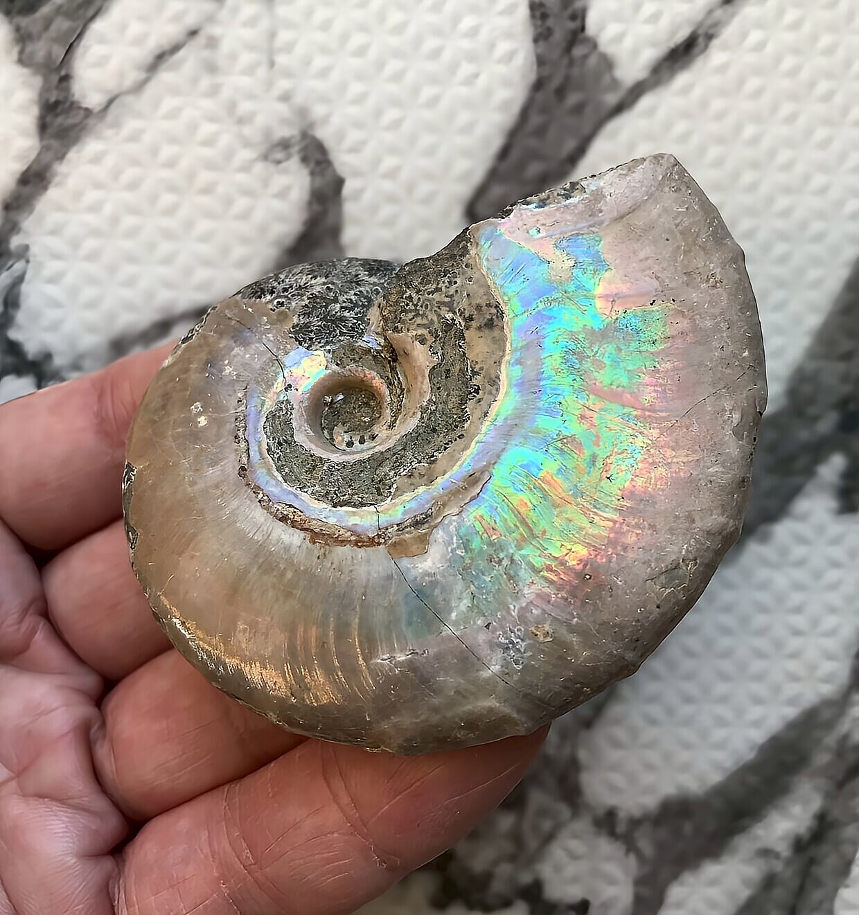 マダガスカル産 遊色虹色アンモナイト青(ビューダンティラス)青紫緑ピンク発色 - 画像 (10)