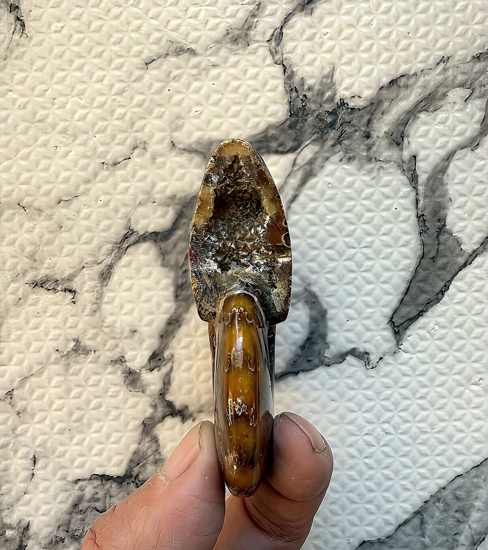 マダガスカル産直輸入 鮮明な縫合線の浮き出るアンモナイト化石 クリオニセラス 中サイズ - 画像 (5)