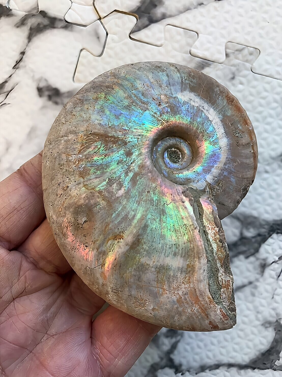 マダガスカル産 遊色虹色アンモナイト-青(クレオニセラス)青緑 - 画像 (5)