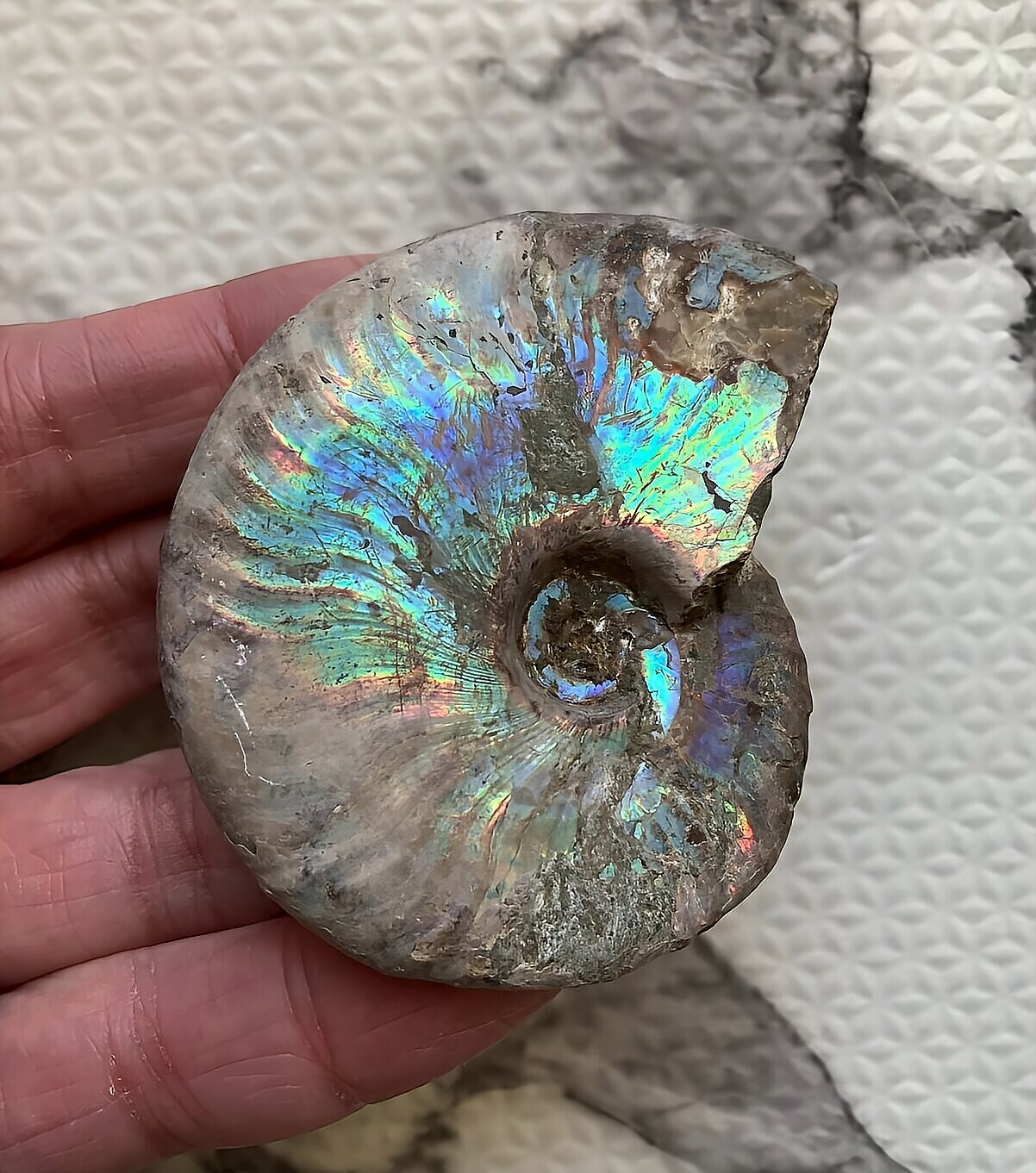 マダガスカル産 遊色虹色アンモナイト-青(クレオニセラス)青緑 - 画像 (15)