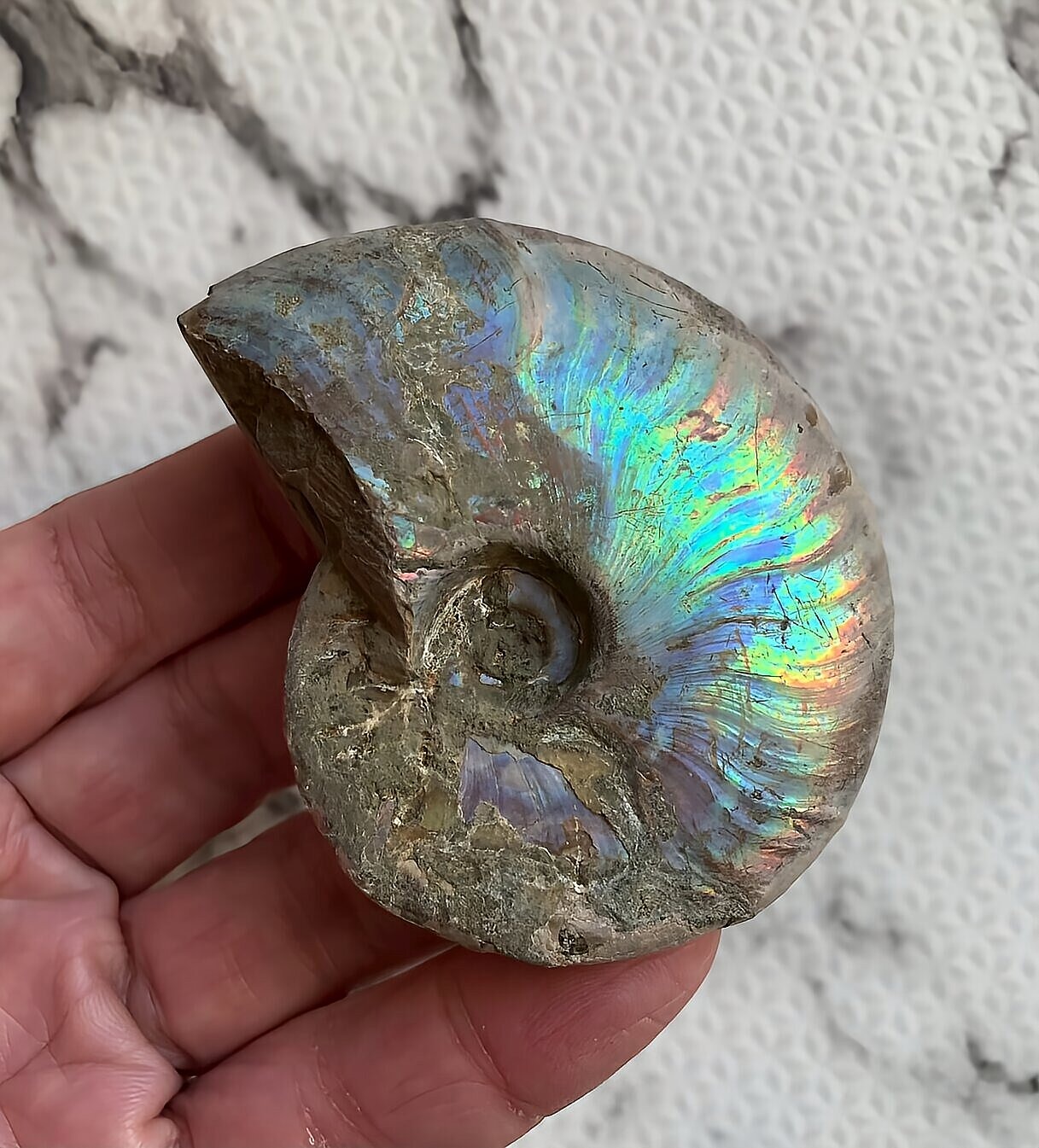 マダガスカル産 遊色虹色アンモナイト-青(クレオニセラス)青緑 - 画像 (4)