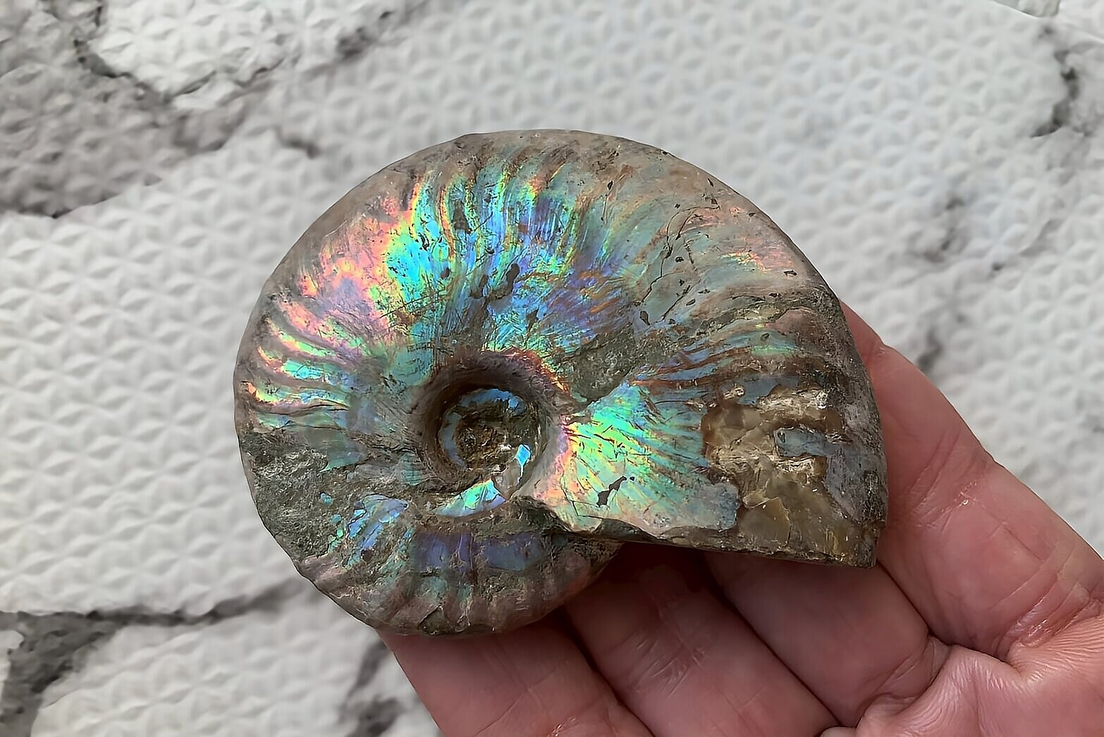 マダガスカル産 遊色虹色アンモナイト-青(クレオニセラス)青緑 - 画像 (6)