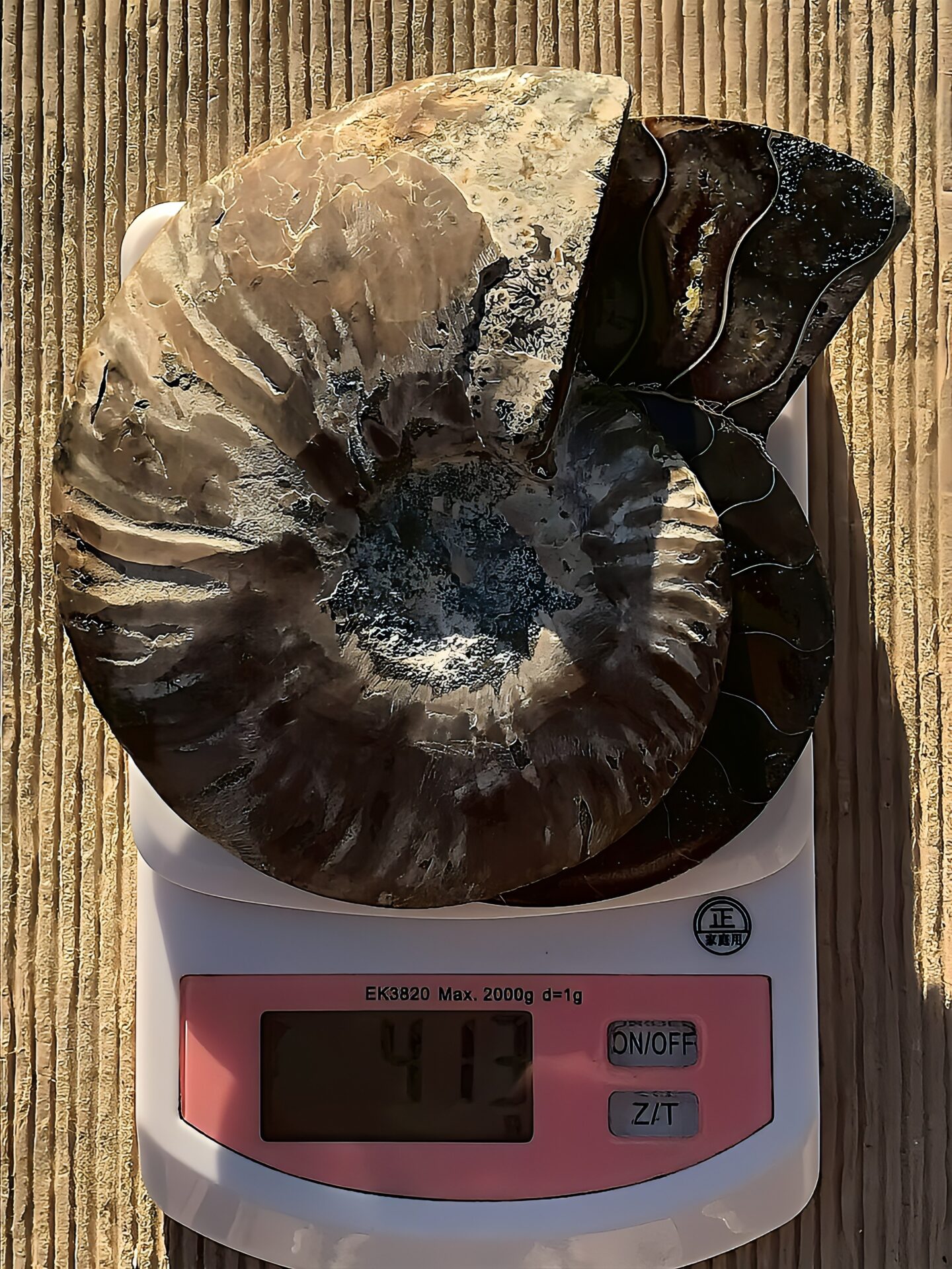 マダガスカル産 アンモナイト化石(クリオニセラス)裁断 スライス 中サイズ個体 カルサイト化 - 画像 (3)