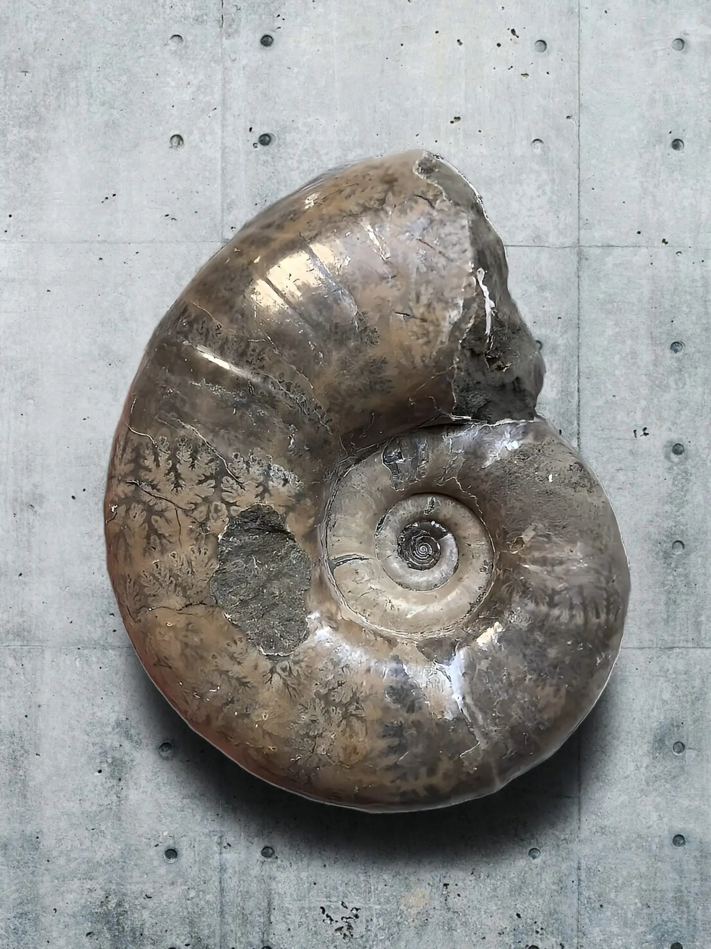 虹色南瓜石（にじいろかぼちゃいし） | マダガスカルから直送