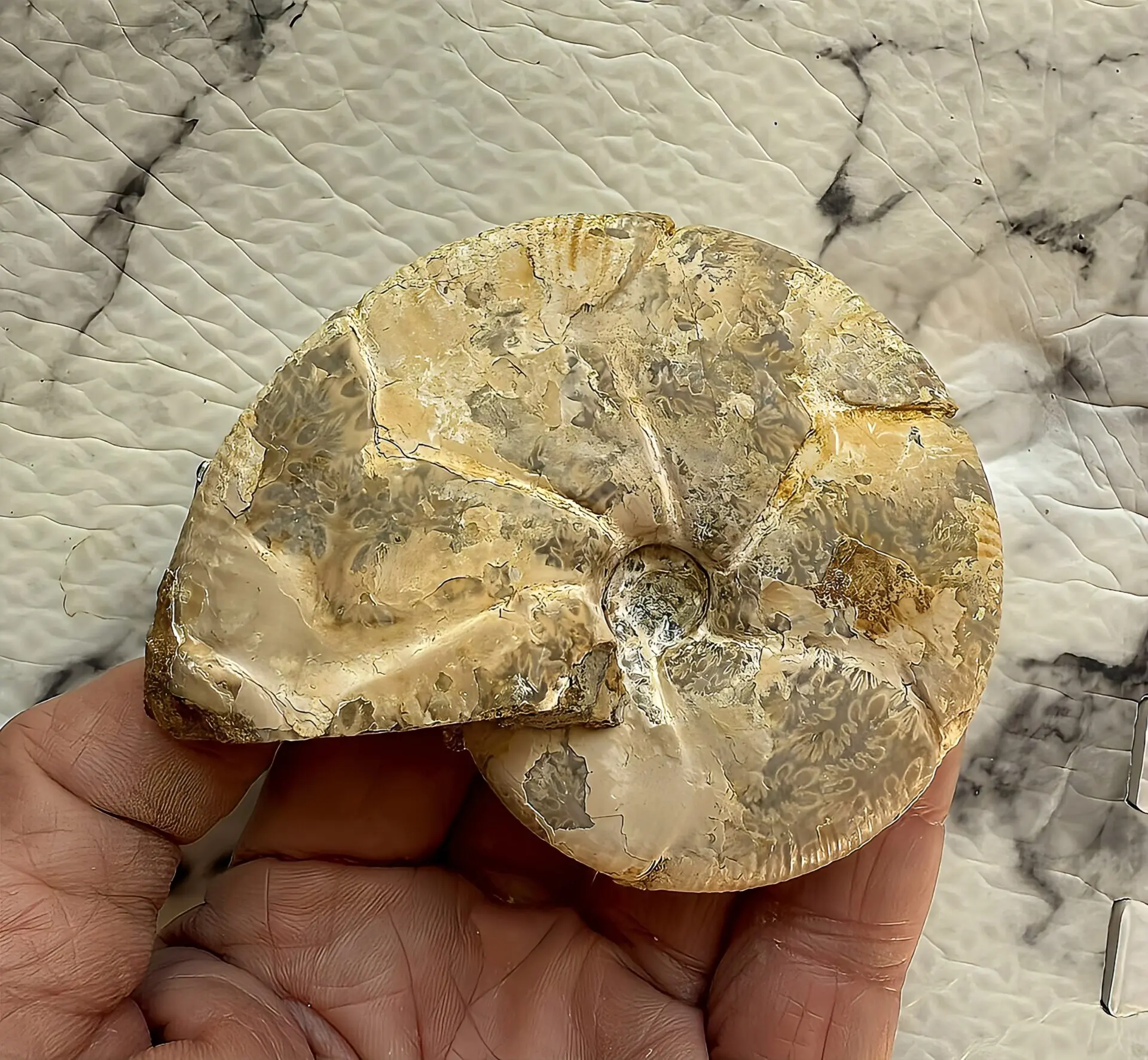 ITEMS | 虹色南瓜石（にじいろかぼちゃいし）