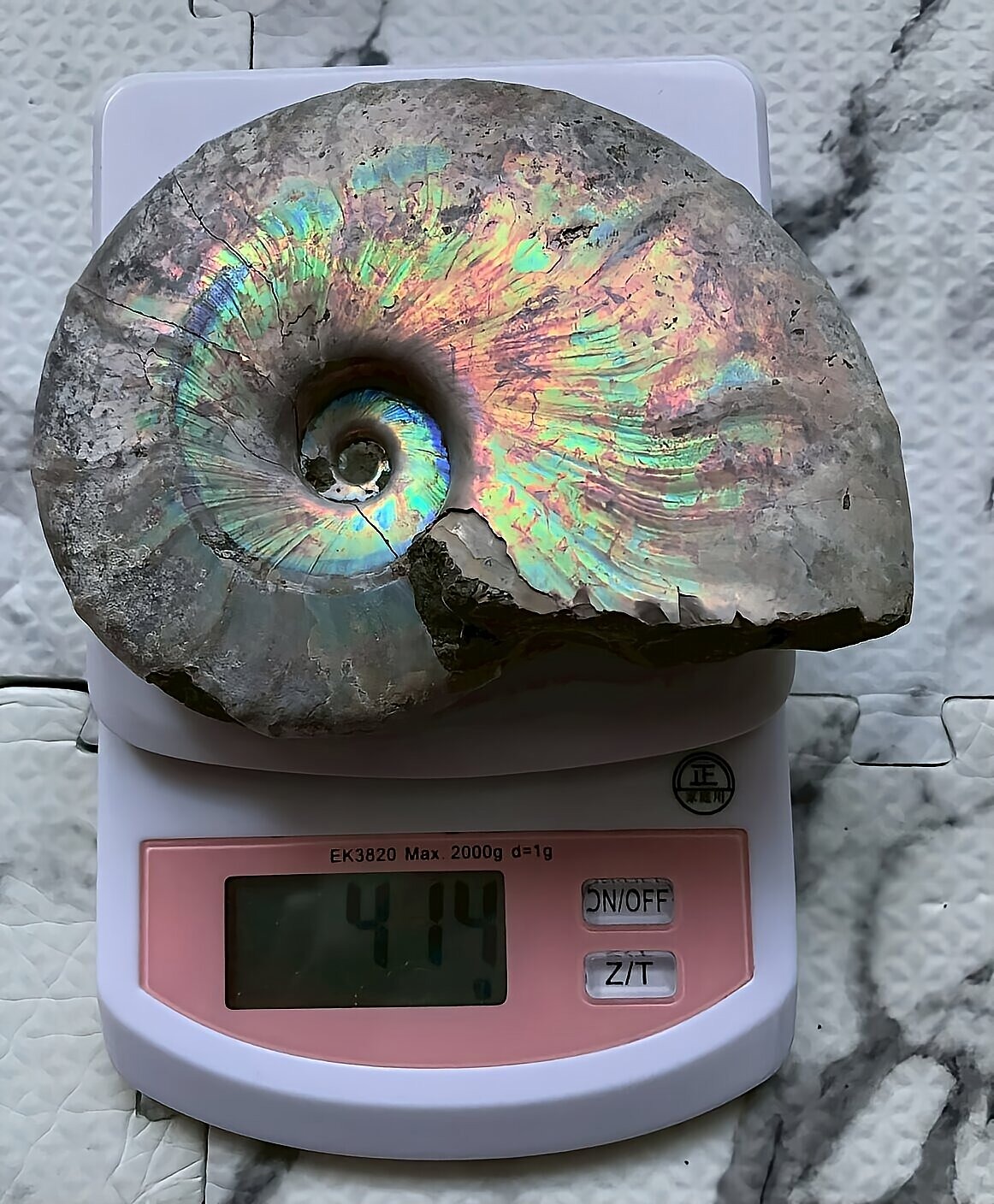 マダガスカル産 遊色虹色アンモナイト青(ビューダンティラス)青緑ピンク発色 - 画像 (8)