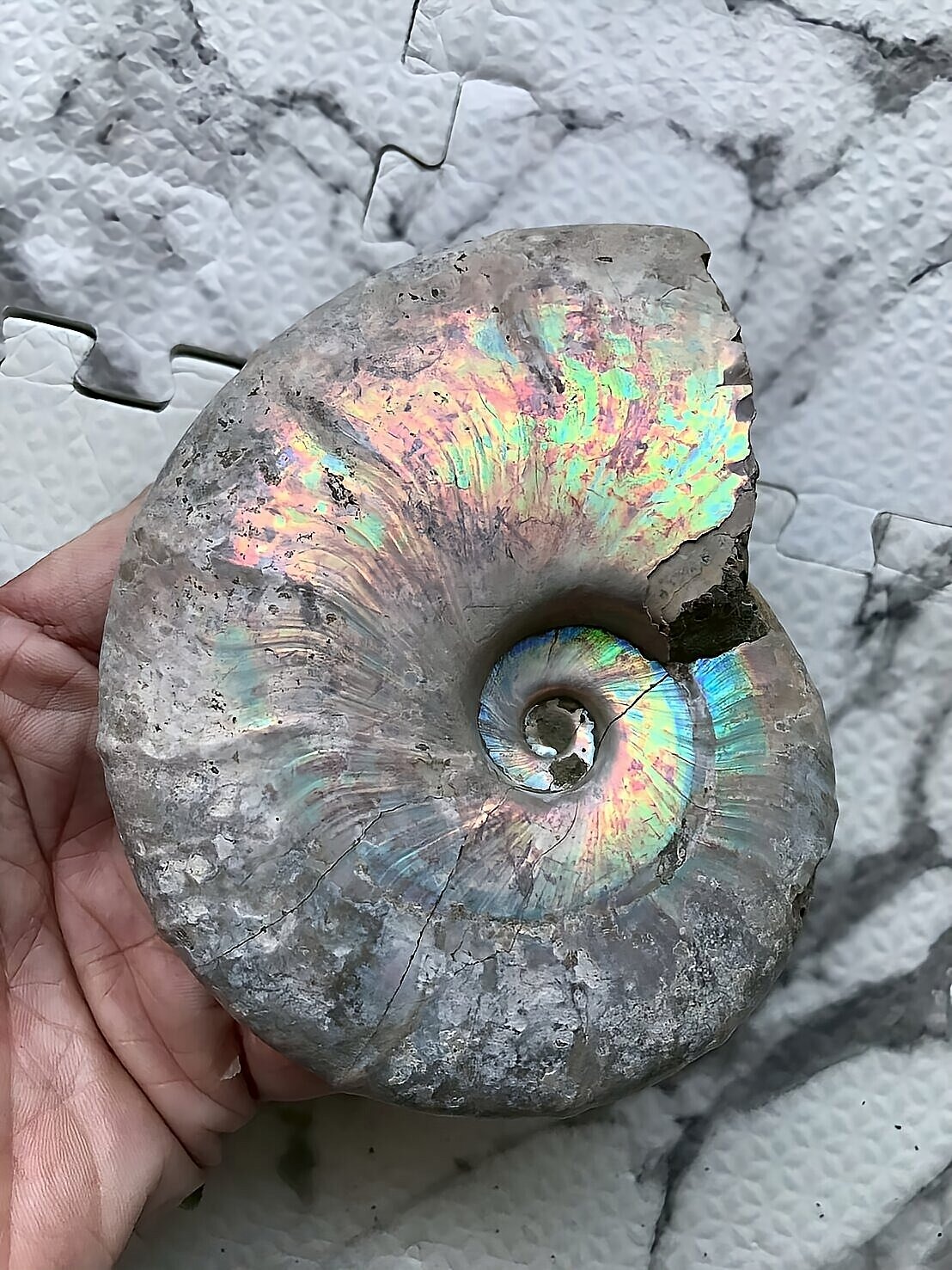 マダガスカル産 遊色虹色アンモナイト青(ビューダンティラス)青緑ピンク発色 - 画像 (11)