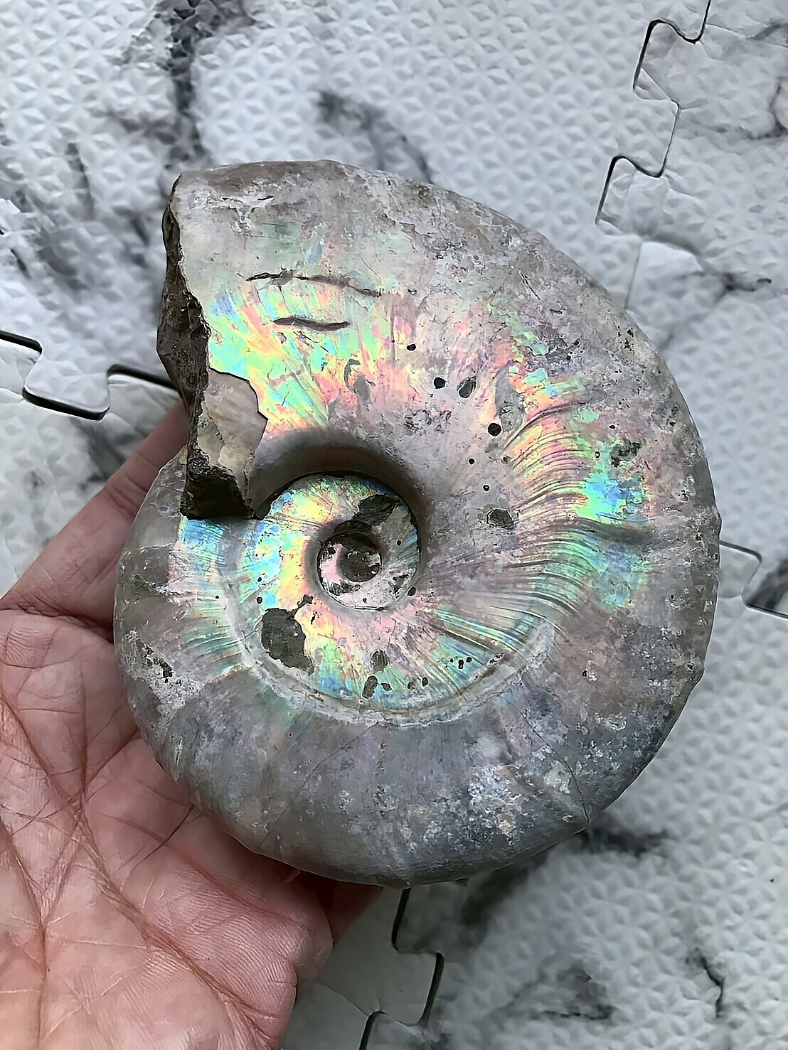 マダガスカル産 遊色虹色アンモナイト青(ビューダンティラス)青緑ピンク発色 - 画像 (12)