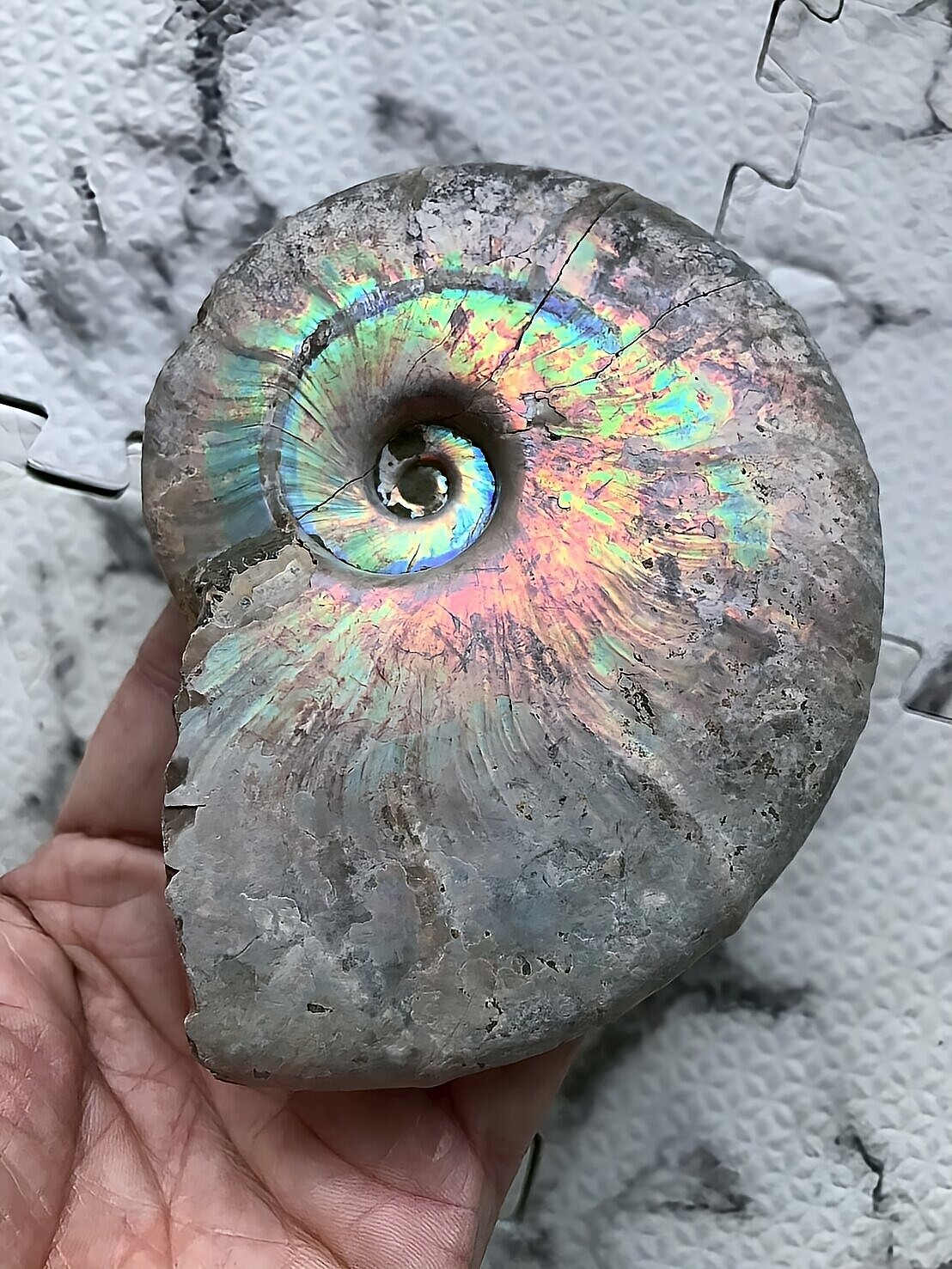 マダガスカル産 遊色虹色アンモナイト青(ビューダンティラス)青緑ピンク発色 - 画像 (2)