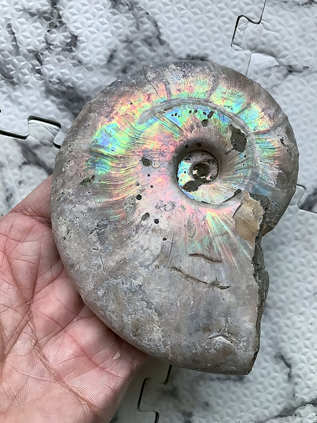 マダガスカル産 遊色虹色アンモナイト青(ビューダンティラス)青緑ピンク発色 - 画像 (3)