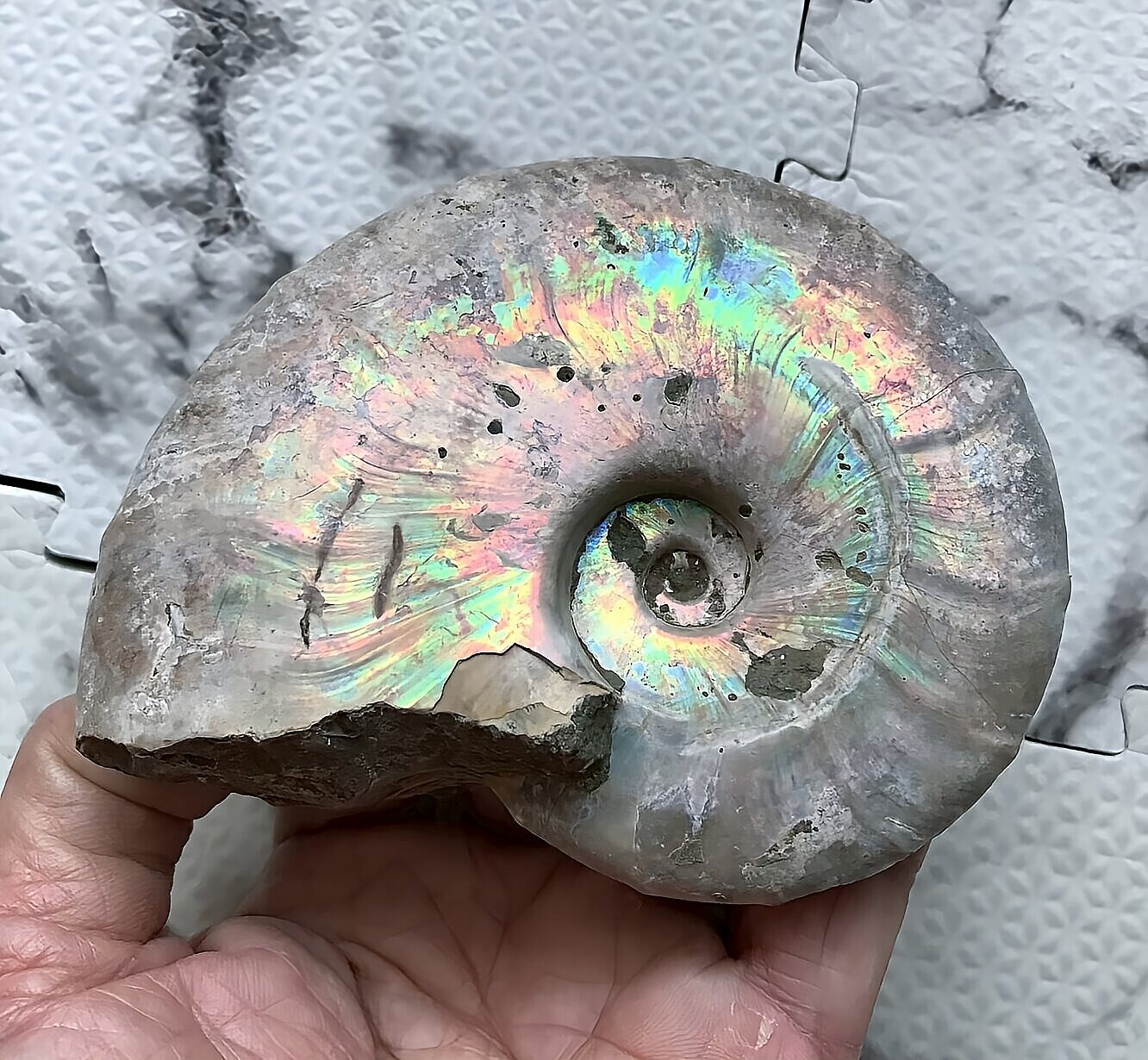 マダガスカル産 遊色虹色アンモナイト青(ビューダンティラス)青緑ピンク発色 - 画像 (4)