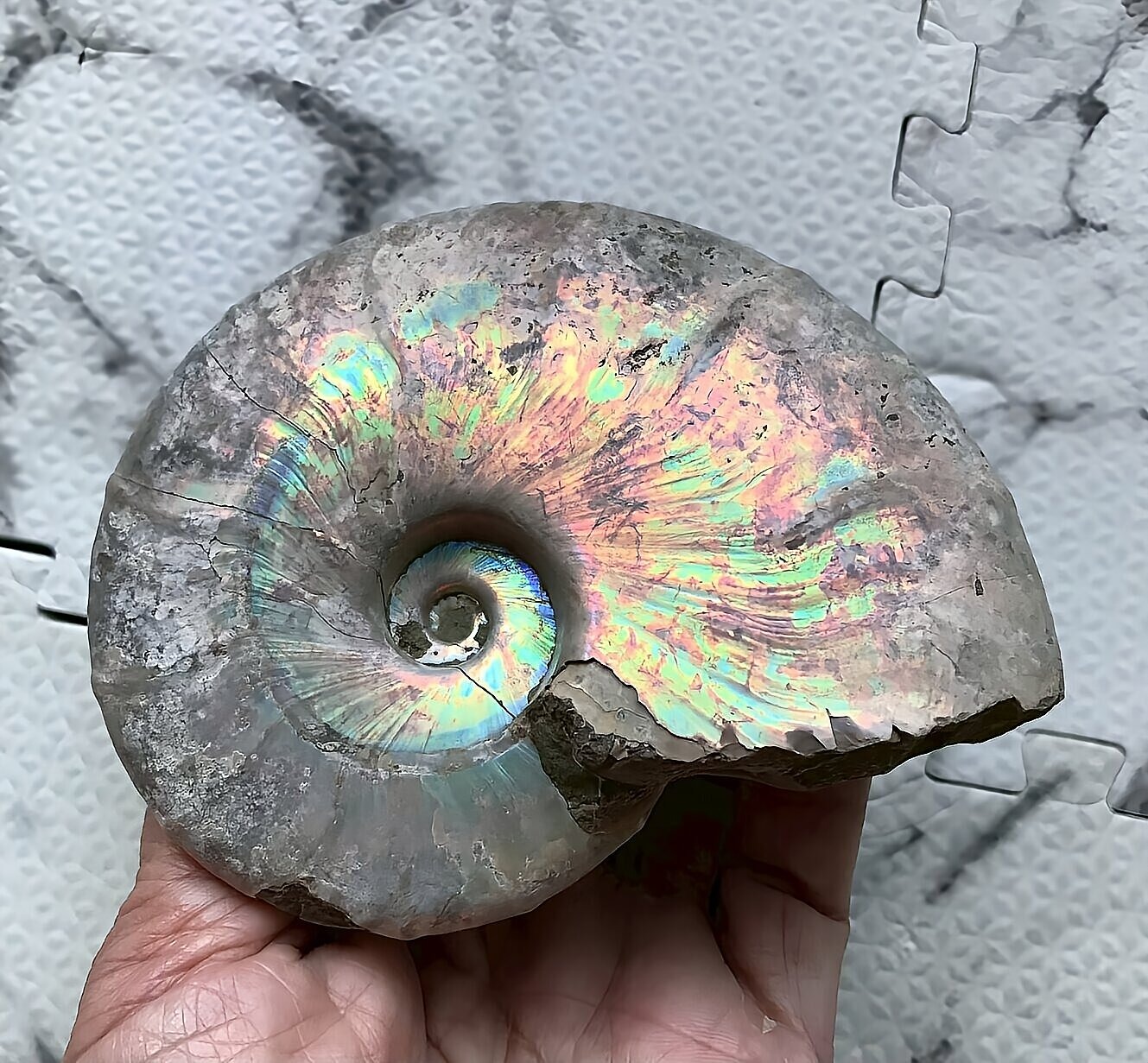 マダガスカル産 遊色虹色アンモナイト青(ビューダンティラス)青緑ピンク発色 - 画像 (5)