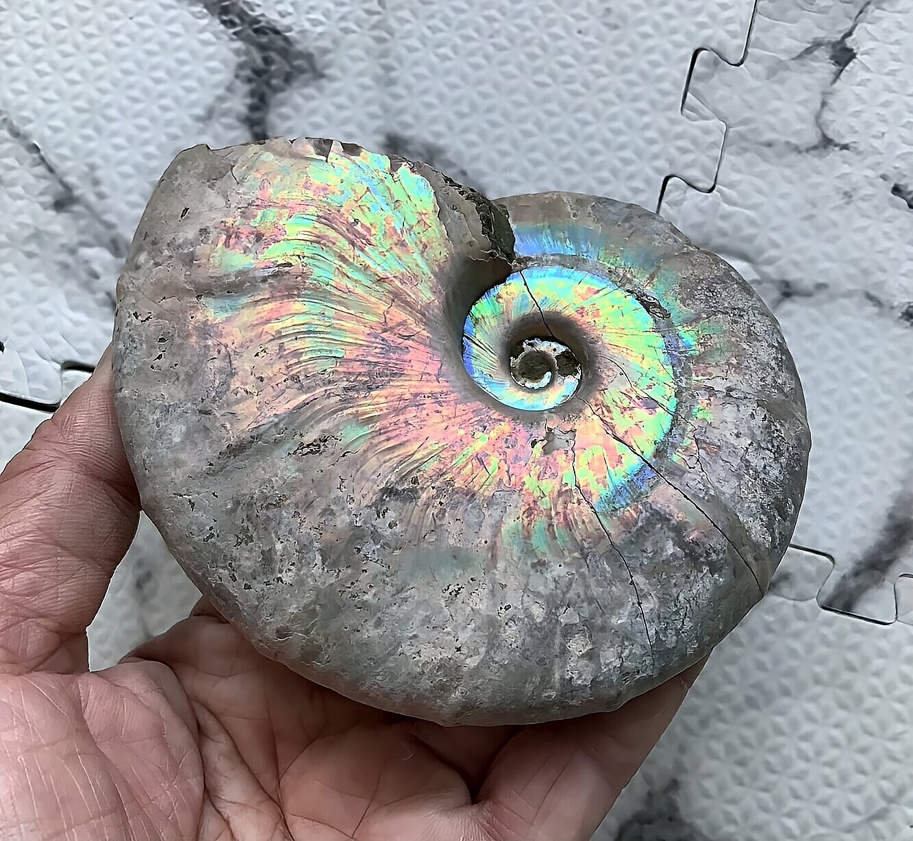 マダガスカル産 遊色虹色アンモナイト青(ビューダンティラス)青緑ピンク発色