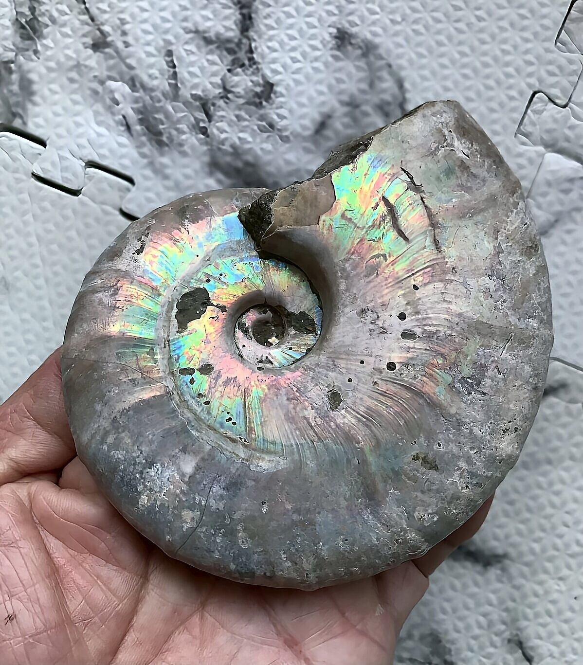 マダガスカル産 遊色虹色アンモナイト青(ビューダンティラス)青緑ピンク発色 - 画像 (7)