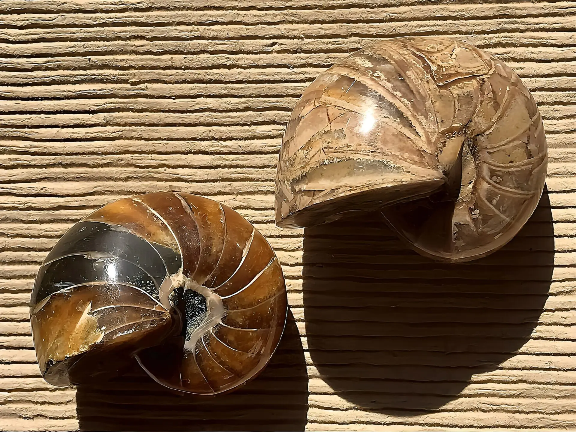 ITEMS | 虹色南瓜石（にじいろかぼちゃいし）