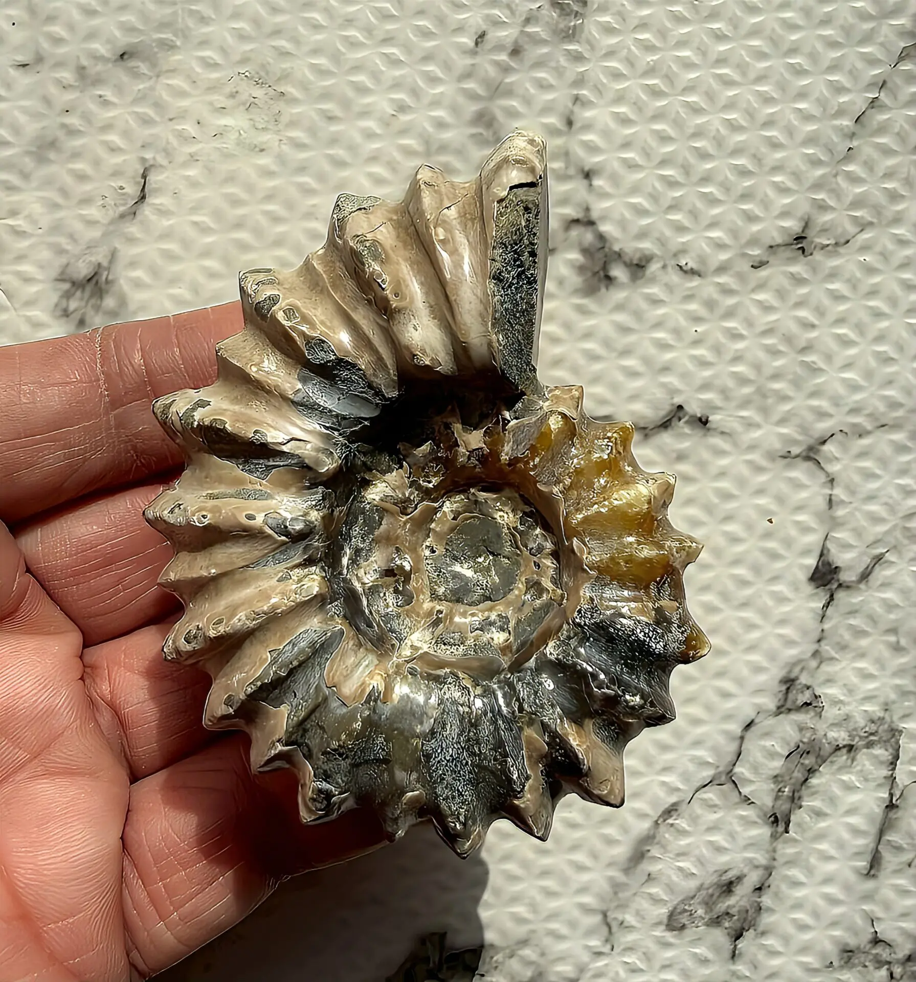 ITEMS | 虹色南瓜石（にじいろかぼちゃいし）