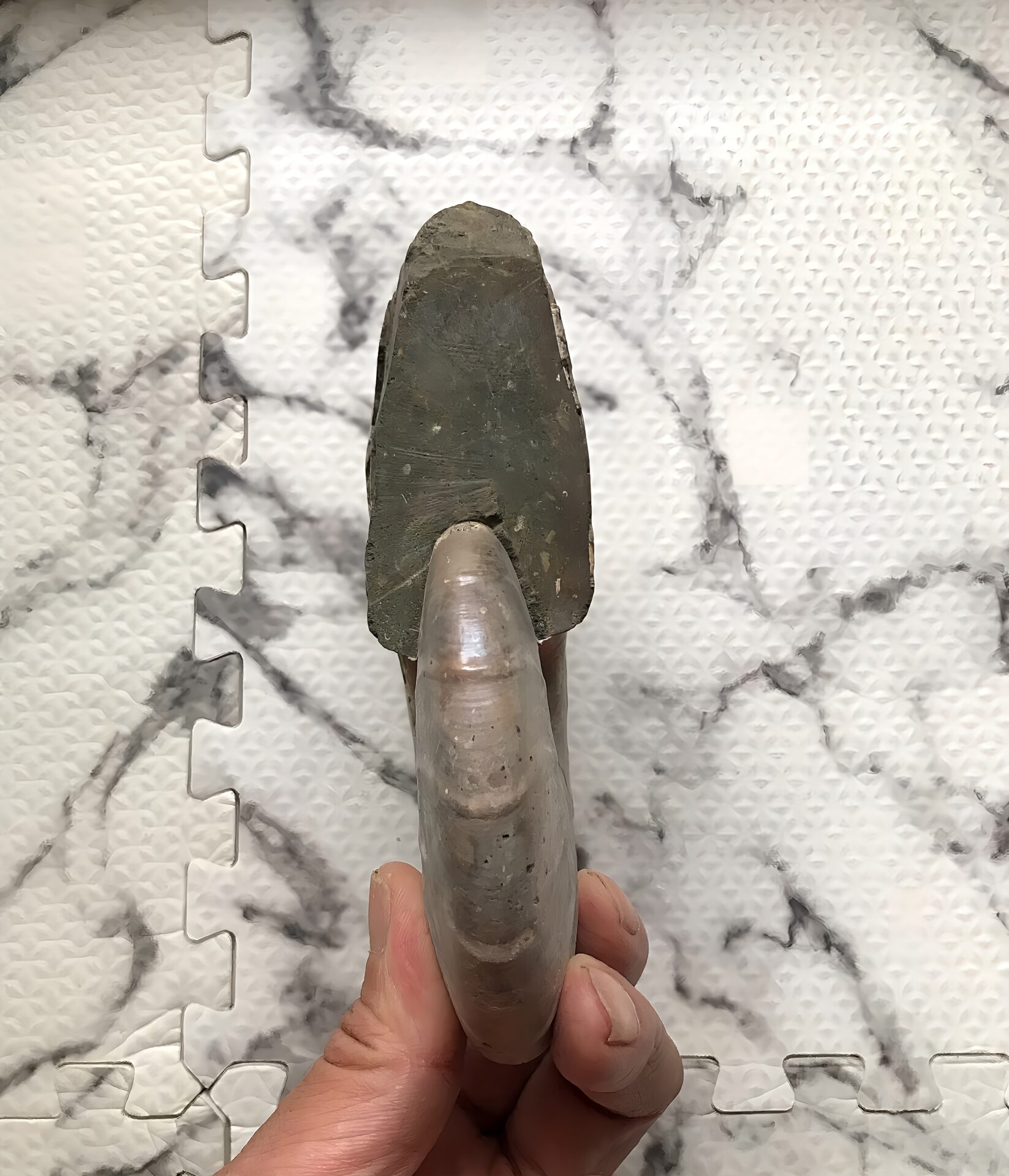 マダガスカル産 遊色虹色アンモナイト青(ビューダンティセラス)青緑ピンク発色 肋浮き出る巨大個体 - 画像 (10)