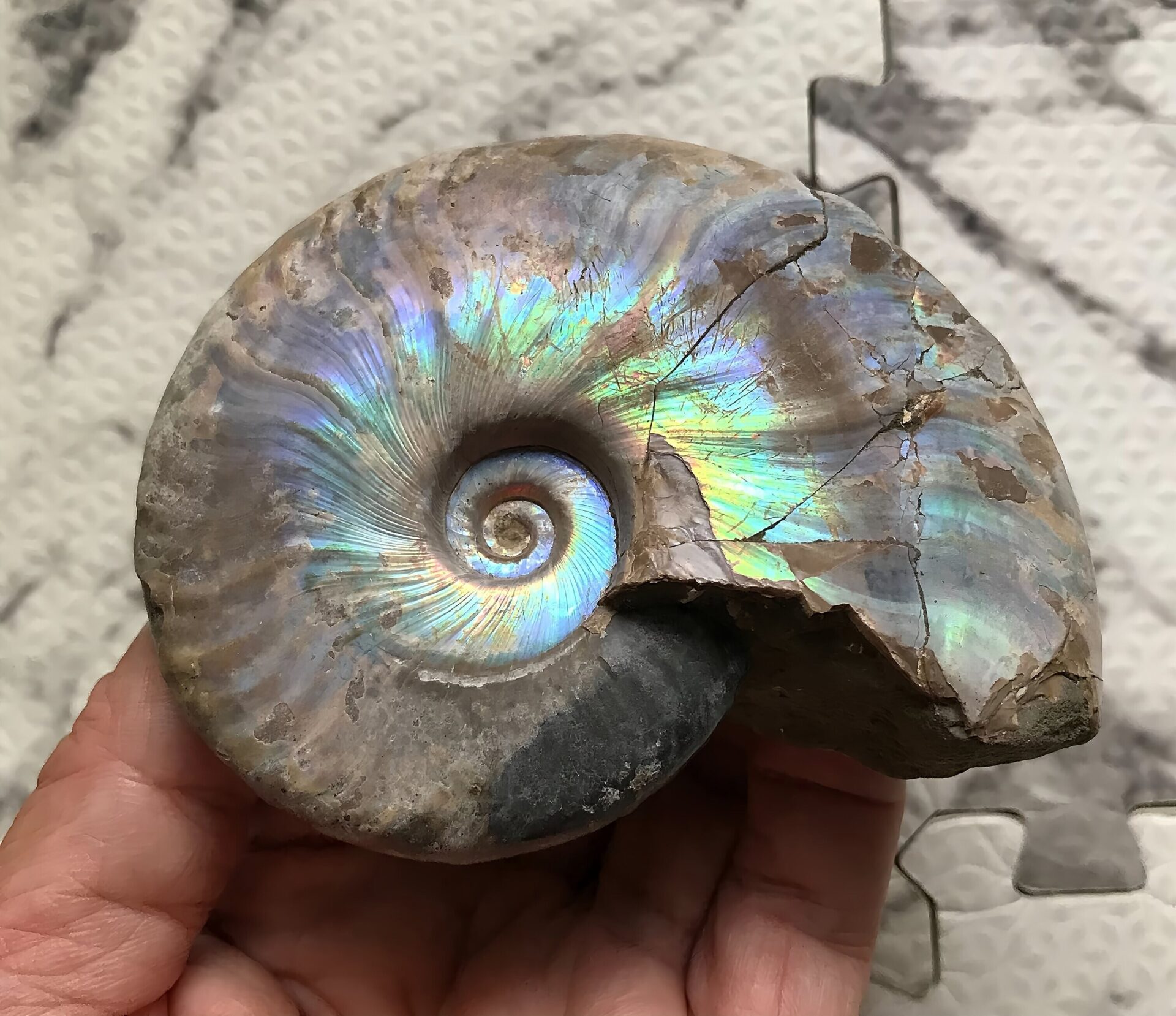 マダガスカル産 遊色虹色アンモナイト青(クレオニセラス)青紫緑発色 紫クリーニング個体 - 画像 (8)